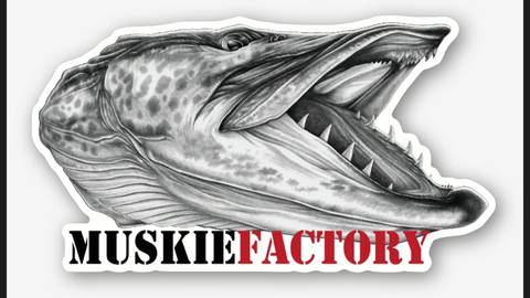 Muskie Factory Skull Decal/sticker